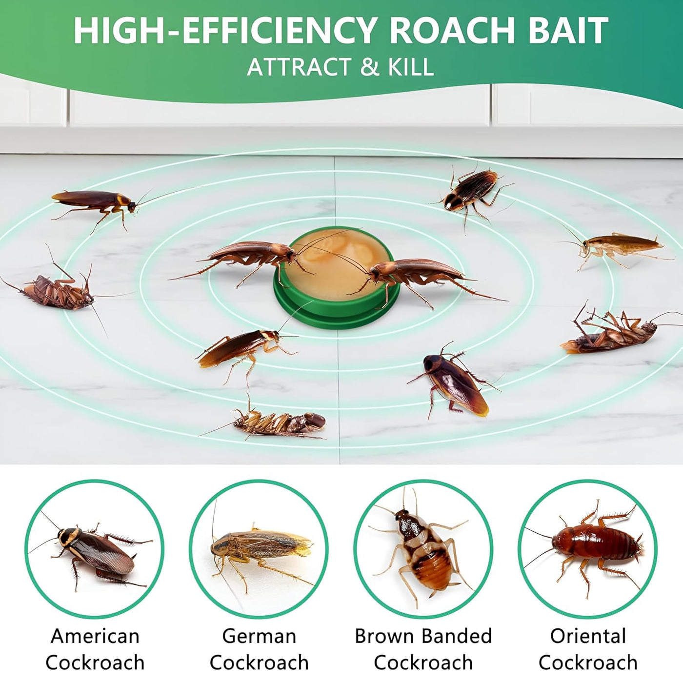 Cockroach Killer Powder Gel (Pack of 24pc)
