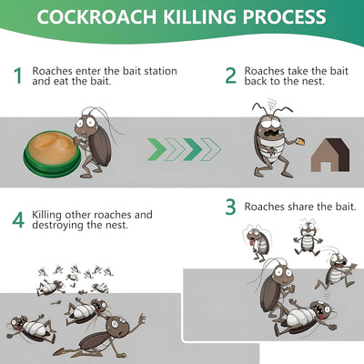 Cockroach Killer Powder Gel (Pack of 24pc)